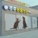 주주동물병원 티스토리
