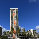 인빌리지 | 하와이 힐튼 하와이안 빌리지vs 힐튼 가든인ㅣ호텔 가격 비교, 위치, 레노베이션 룸 정보