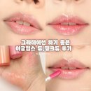 진해구 ⓒ-21 | 이글립스 글레이즈 듀, 핑크듀 내돈내산 후기 라이트톤 베이스 틴트