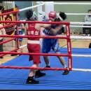 용인대W복싱짐 이미지