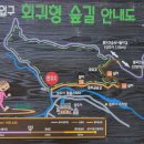 성주사 회귀형 숲길 이미지