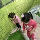 구름밭농장 이미지