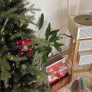 스테이옥정 이미지