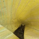 인계 2 용강경로당 | 베란다 들뜬 타일 철거 무수축 고강도 몰탈 보수 업체