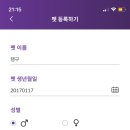 펫멤버스
