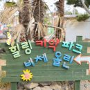 제주비체올린
