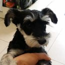 펫토이동물병원 이미지