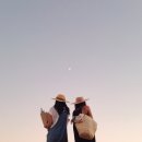 카페도피성