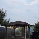 디나우스 이미지