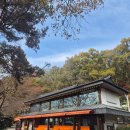 계곡이 있는 풍경 | 용인 처인구 호수와 계곡이 있는 브런치 대형카페 | 알루엣베이커리 후기