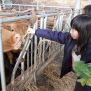 반갑소 농장 이미지