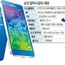알파 - 포항시 남구 효성로 77 | 알파