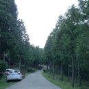 남해편백자연휴양림 이미지