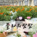 팜팜스토어 | [김해] 아이랑 가볼만한 곳, 플라워팜팜