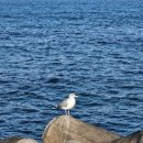 어달항회센터 이미지