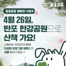 봄강아지