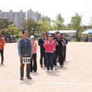 내기초등학교 이미지