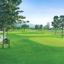 마스타골프 이미지