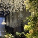 포엠투어 이미지