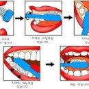 대들보 이미지