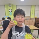 금과초등학교 | 순창.남원요리출강 .수제젤리.케이크팝