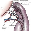 가비장의 이미지