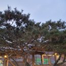 가평 남이섬 투투스파펜션 이미지