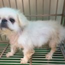 재송동물병원 이미지