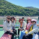 임동초교 Daum카페