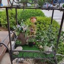 고요부동산중개법인 이미지