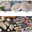 어느 멋진날’, 삼천포 ‘노산실비’, 목포 ‘어류도감’, 제주 ‘조천수산’, 부산 영도 ‘산호횟집’