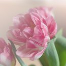 바람아래 이미지