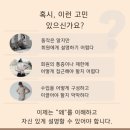 한국재활필라테스지도자협회