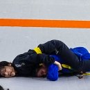 파이트체육관 이미지