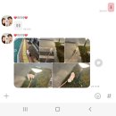 필라테스레오청주 | 12월의 시작, 송린깡의 일상들