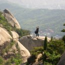 우리 곰내랑 이미지