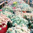 해림농장 이미지