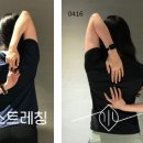 모던유연스트레칭 이미지