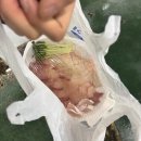 93 94 상회 다이닝코드