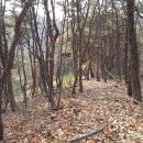 묘봉3리 이미지