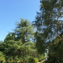 호길농장 이미지