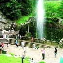 설피한우 이미지