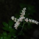 국민은행(1135) 이미지