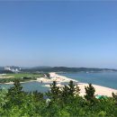 바다엔소나무 티스토리