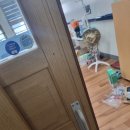 일광중학교 이미지