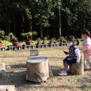 수목원목장 이미지