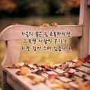 새롬콘택트 이미지