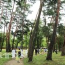 솔숲과 바다 이미지