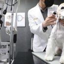 허주영농장 네이버블로그