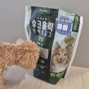 도그홀릭 | 안 먹는 강아지에게 소프트 곤충 사료 &#34;후코홀릭 인섹트 도그 프리미엄 기능성 사료(뼈/관절)&#34; 먹여본 후기